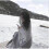 (Black white) Knitted Artificial Wool Cashmere Warm Throw Sofa Blanket 2