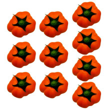 10 Stück Weihnachts-Kürbis-Ornamente, bruchsichere-S