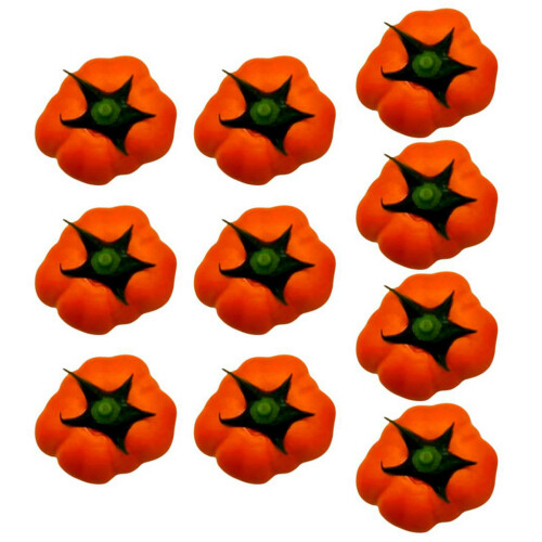 Ensemble de citrouilles décoratives en mousse, 10 pièces, pour-S