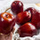 Decorative Realistic Apples Replicas for Event Decorations 7