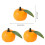 50Pcs Simulation Orange Model Realistic Artificial Orange for 3