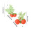 10Pieces Simulation Orange Model with Leaf Realistic-L 4