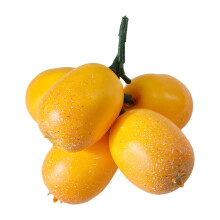 Simulation Loquat Fruit Decorative Fruit Model For Home-5 forks