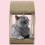 Kittens Play Bed Scratch Resistant Nest for Small to Medium to 6