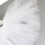 Stylish Pleated Mesh Detachable Collar Perfect For-White 4