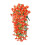Flower Eucalyptuses Stem Morning Glory Wall Art-Orange 5