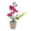 Fade Resistant Realistic Butterfly Orchids-Purple red 1