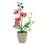 Artificial Butterfly Orchids Bonsais Arrangement-Stripe red 1
