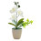 Artificial Orchids Plant For Dining Table Office Desk-White 1