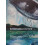 Witnessing Torture Paperback Book 1