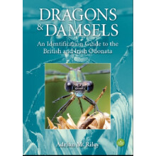 Dragons and Damsels by Adrian Riley Paperback Book