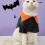 Halloween Hundeshirt Schwarz L Polyester Cosplay 12