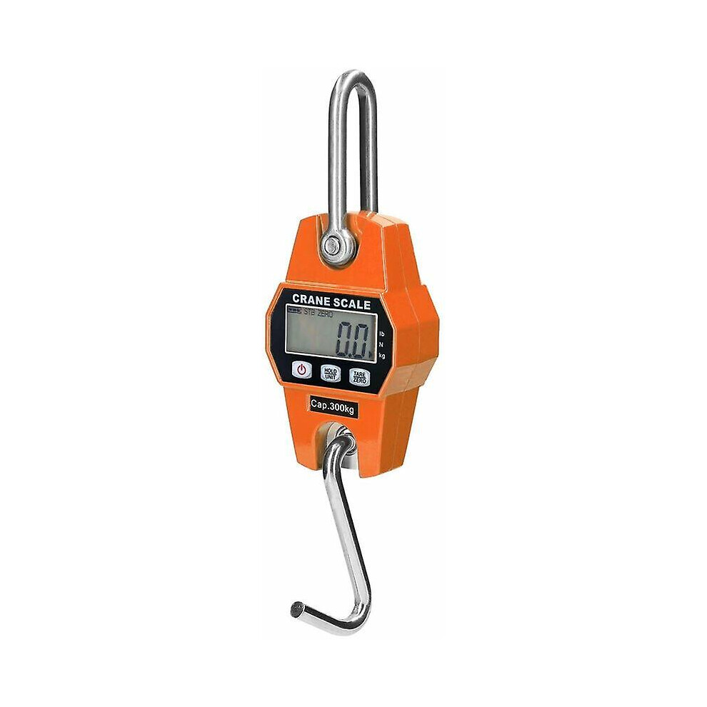 Kikidex (As Show, One Size) Heavy Lifting Scale For Hook Crane, 300 Kg