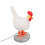 3D Chicken Egg Night Light USB White 4