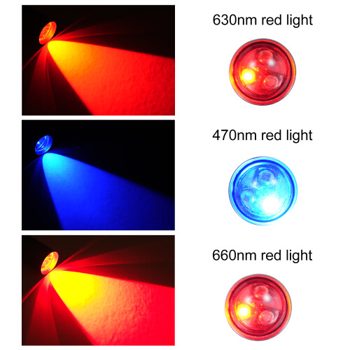 Handheld LED Light Therapy Red Blue Light Acne Pores Adjustable 2