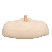 Shoulder Model Mannequin with Top Plug Display Stand