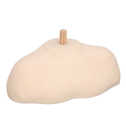 Shoulder Model Mannequin with Top Plug Display Stand 1