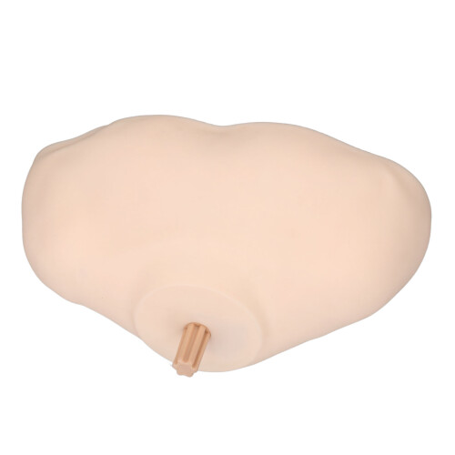 Shoulder Model Mannequin with Top Plug Display Stand 2