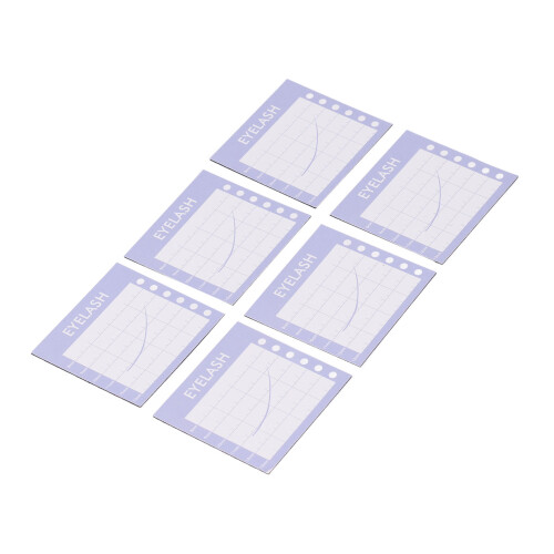 Draagbare Magnetische Wimper Organizer 2