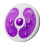 Twister-Board mit 8 Magneten, 360 Bauchtraining 3