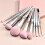 11x Make-up Kwastenset Draagbaar Voor Beginners 5