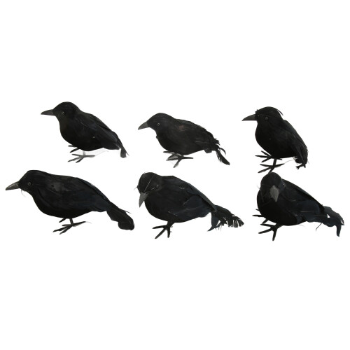 6pcs Halloween Black Feather Crows Model Decorations Simulation Birds