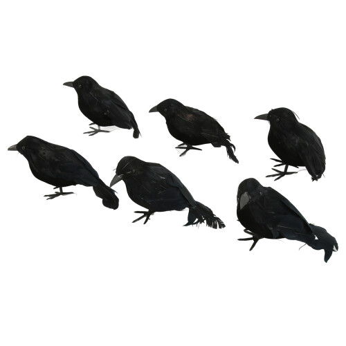 6pcs Halloween Black Feather Crows Model Decorations Simulation Birds 2