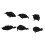 6pcs Halloween Black Feather Crows Model Decorations Simulation Birds 4