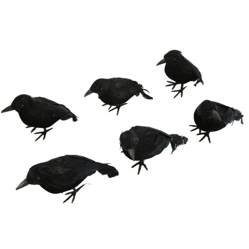 6pcs Halloween Black Feather Crows Model Decorations Simulation Birds 1