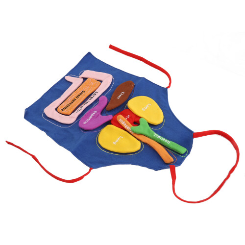 3D anatomie schort voor kinderen 1