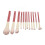 12Pcs Soft Bristle Makeup Brush Set for Beginners 5