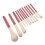12Pcs Soft Bristle Makeup Brush Set for Beginners 3