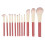 12Pcs Soft Bristle Makeup Brush Set for Beginners 2