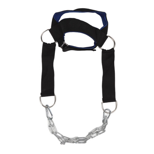 Neck Harness Core Strength Support Exerciser Blue Black