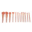 12Pcs Makeup Brushes Set Concealer Eyeliner 1