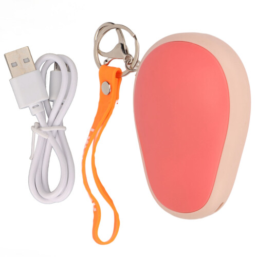 2-in-1 Electric Hand Warmer Power Bank USB