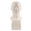 HD Hoofd Acupunctuurmodel TCM Lesmateriaal 1