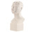 HD Hoofd Acupunctuurmodel TCM Lesmateriaal 2