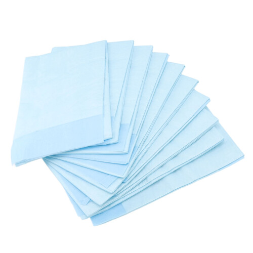 10 Pcs Disposable Bed Pad Heavy Absorbency Soft Adult Maternity 2
