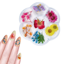 1 Box Dried Flower 6 Grids DIY Nail Art 05
