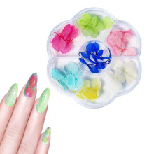 1 Box Dried Flower 6 Grids DIY Nail Art 01