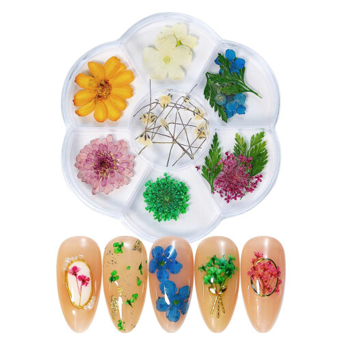 1 Box Dried Flower 6 Grids DIY Nail Art 1