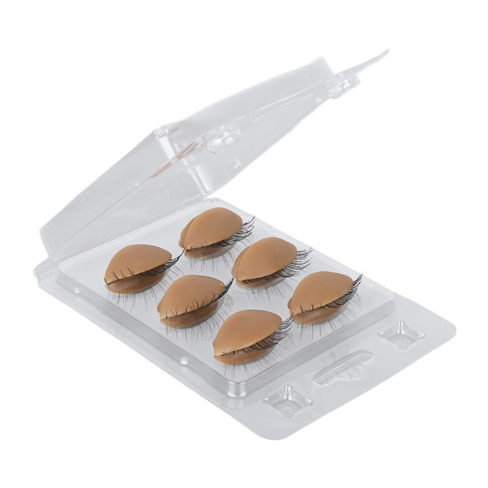 (Coffee) 3 Pairs Mannequin Head Eyelids with Eyelashes for Training Practice