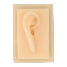 (Right Ear) Silikon-Glatzes Modell für Ohrenlehre, rechts