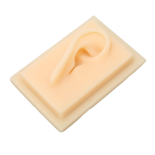 (Right Ear) Silicone Glossy Human Right Ear Teaching Model 1