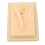 (Right Ear) Silicone Glossy Human Right Ear Teaching Model 3