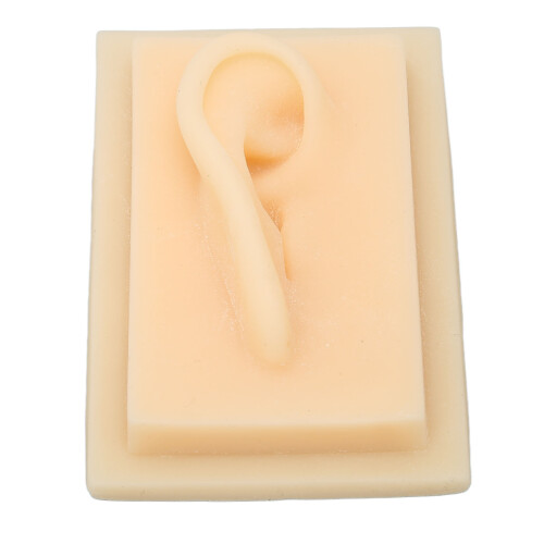 (Right Ear) Silicone Glossy Human Right Ear Teaching Model 2