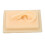 (Right Ear) Silicone Glossy Human Right Ear Teaching Model 5