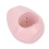16W Roze Roos UV Gel Nagellamp USB Mini Sneldroger 3