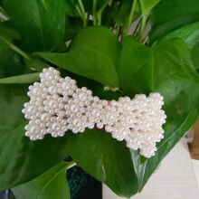 (# 22) Falsche Perlen-Klipp-Seiten-Schopf-Haarclips für Mädchen #4